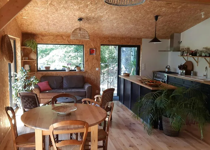 Eco In The Black Mountain Forest *